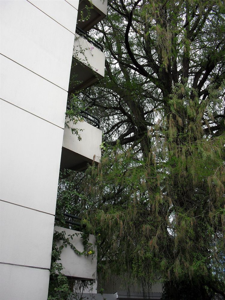 Hotel Residencia Del Sol Guatemala Dış mekan fotoğraf